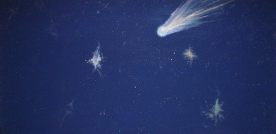 cometa